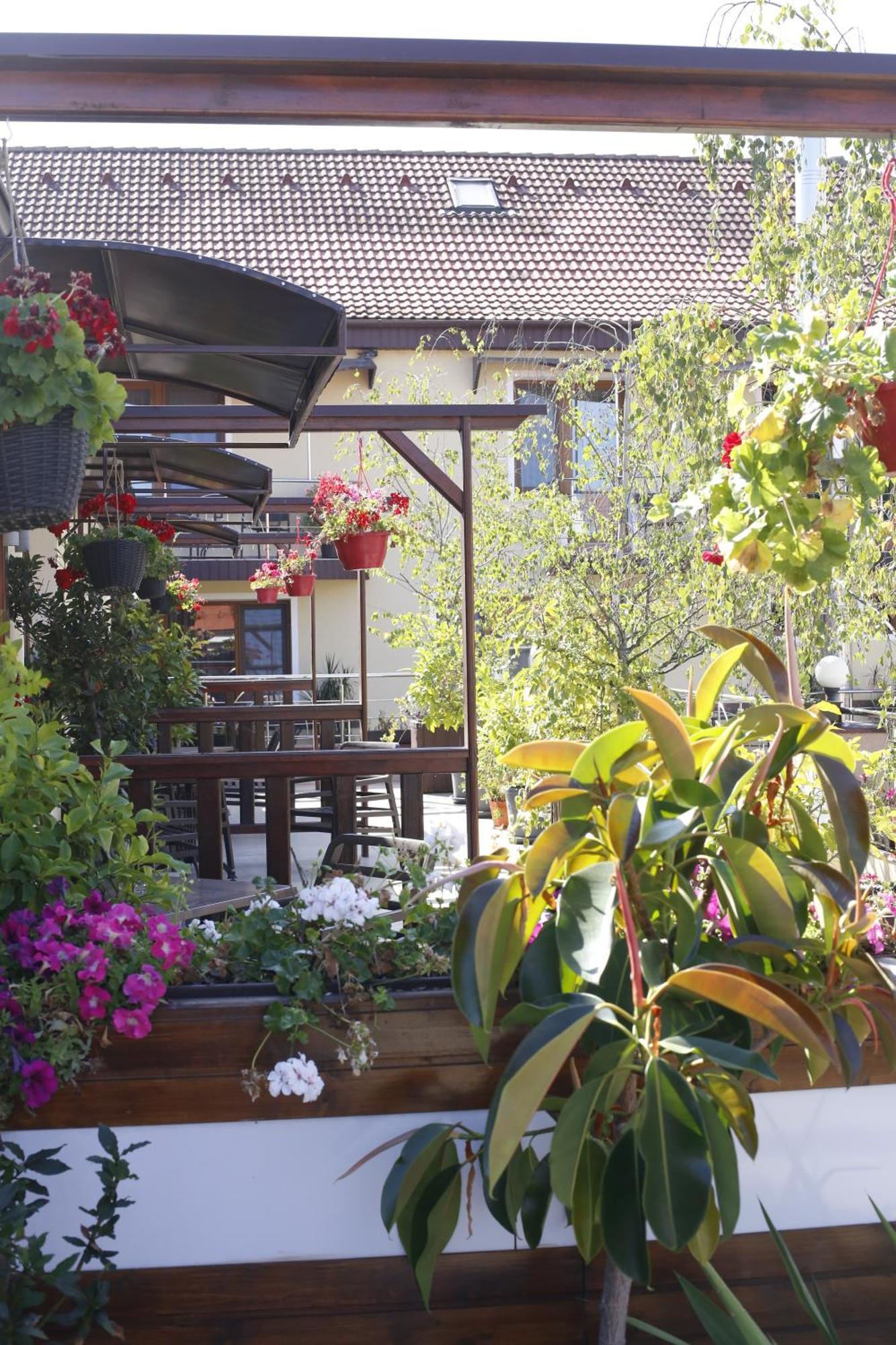 Hotel Bulevard Făgăraş Εξωτερικό φωτογραφία